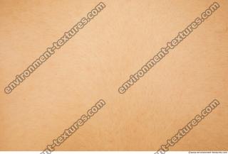 Photo Textures of Human Skin